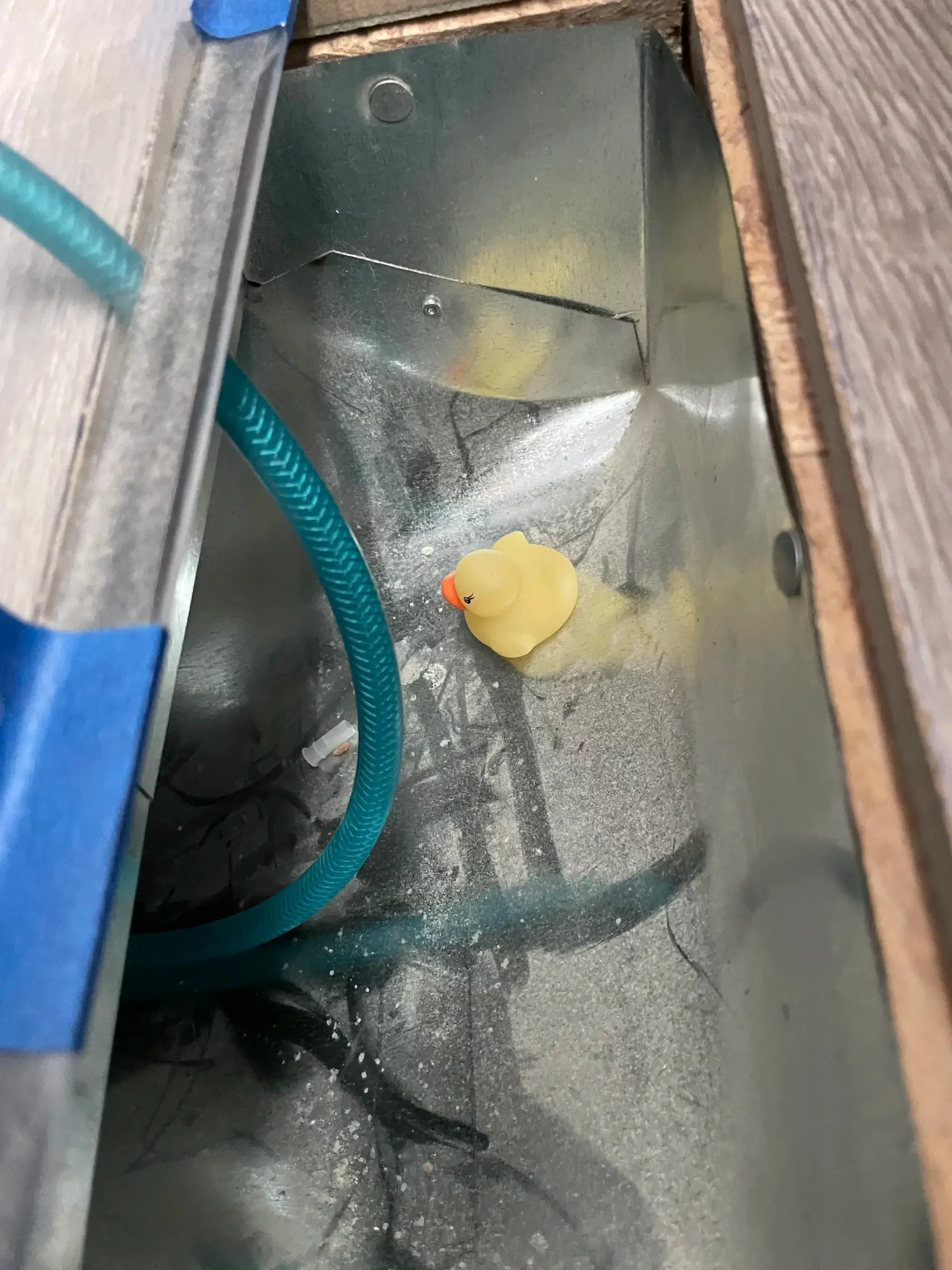 Duckie in Air Vent